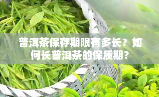 普洱茶保存期限有多长？如何长普洱茶的保质期？