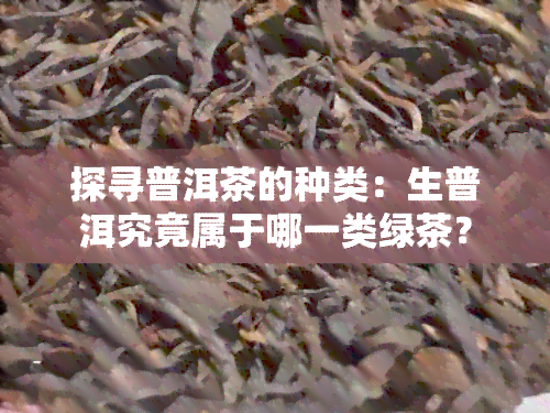 探寻普洱茶的种类：生普洱究竟属于哪一类绿茶？