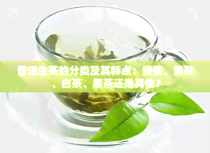 普洱生茶的分类及其特点：绿茶、黄茶、白茶、黑茶还是其他？