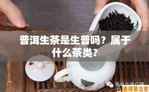 普洱生茶是生普吗？属于什么茶类？