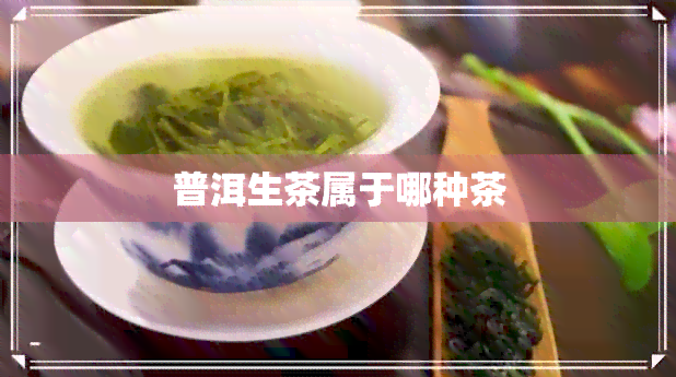 普洱生茶属于哪种茶