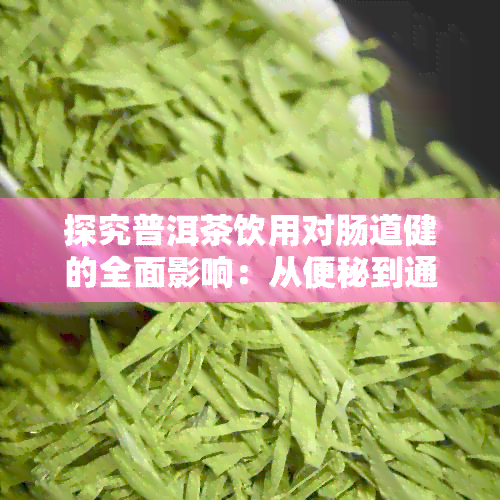 探究普洱茶饮用对肠道健的全面影响：从便秘到通便的有效方法大全