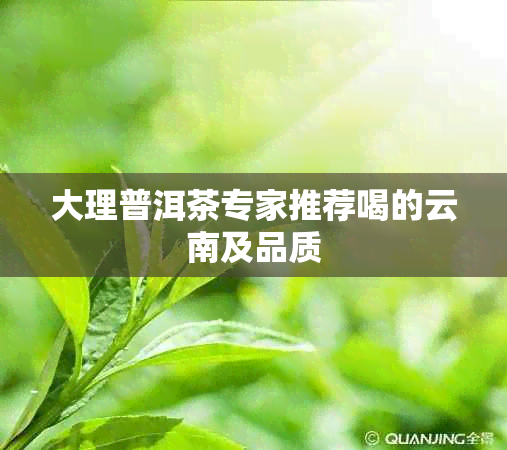 大理普洱茶专家推荐喝的云南及品质