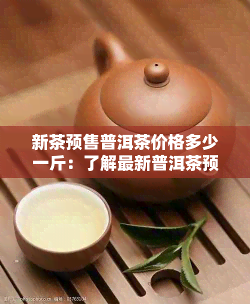 新茶预售普洱茶价格多少一斤：了解最新普洱茶预售价格，每斤多少钱？