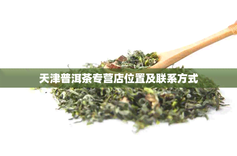 天津普洱茶专营店位置及联系方式