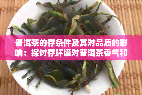 普洱茶的存条件及其对品质的影响：探讨存环境对普洱茶香气和口感的影响