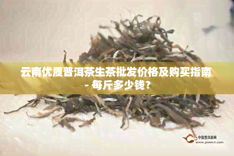 云南优质普洱茶生茶批发价格及购买指南 - 每斤多少钱？