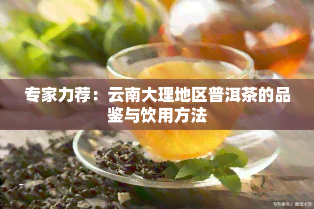 专家力荐：云南大理地区普洱茶的品鉴与饮用方法