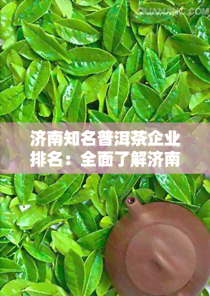 济南知名普洱茶企业排名：全面了解济南优质普洱茶及市场竞争状况