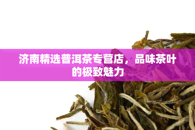 济南精选普洱茶专营店，品味茶叶的极致魅力