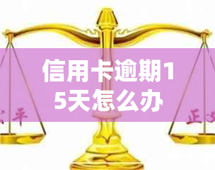 信用卡逾期15天怎么办