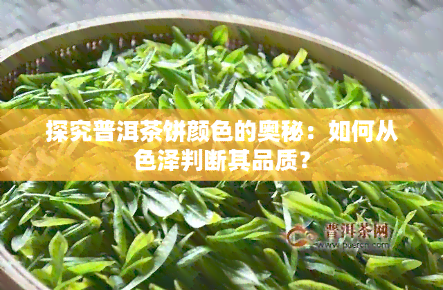 探究普洱茶饼颜色的奥秘：如何从色泽判断其品质？