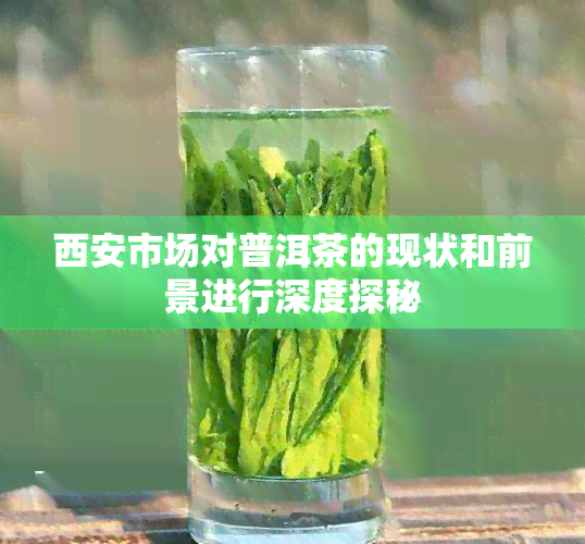 西安市场对普洱茶的现状和前景进行深度探秘