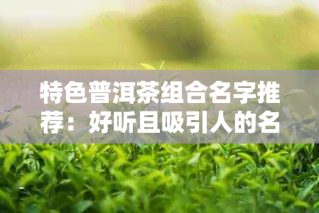 特色普洱茶组合名字推荐：好听且吸引人的名字 *** 