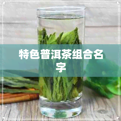 特色普洱茶组合名字