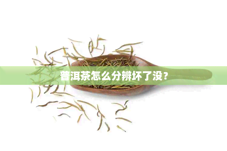 普洱茶怎么分辨坏了没？