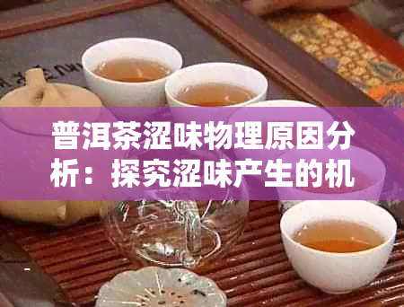 普洱茶涩味物理原因分析：探究涩味产生的机理与影响因素