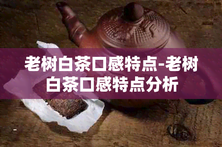 老树白茶口感特点-老树白茶口感特点分析