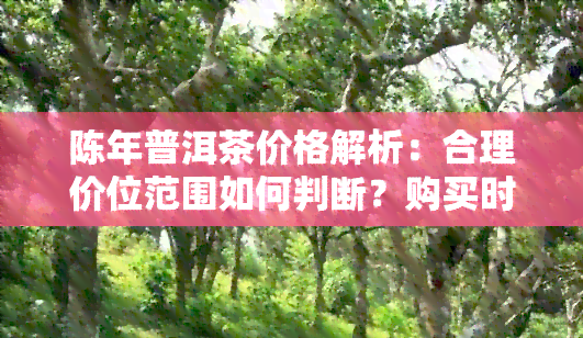 陈年普洱茶价格解析：合理价位范围如何判断？购买时需注意哪些因素？