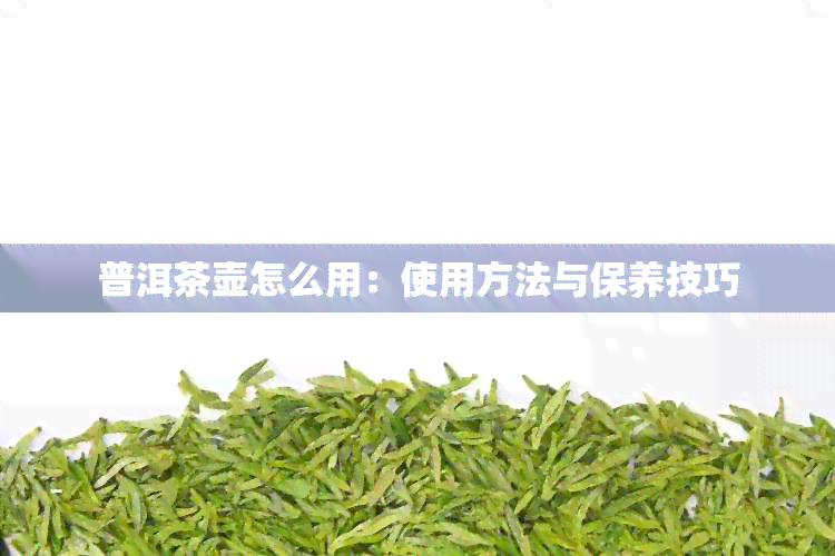 普洱茶壶怎么用：使用方法与保养技巧