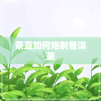 茶壶如何炮制普洱茶