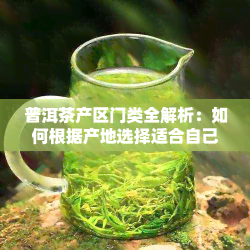 普洱茶产区门类全解析：如何根据产地选择适合自己的普洱茶？