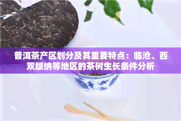 普洱茶产区划分及其重要特点：临沧、西双版纳等地区的茶树生长条件分析