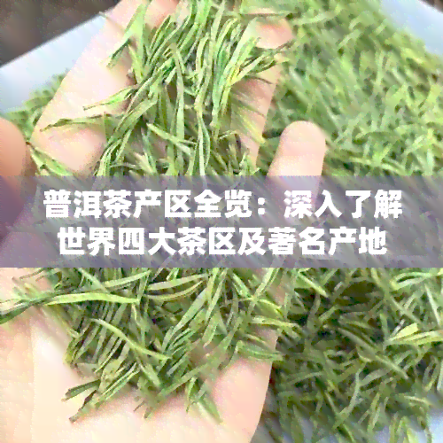 普洱茶产区全览：深入了解世界四大茶区及著名产地