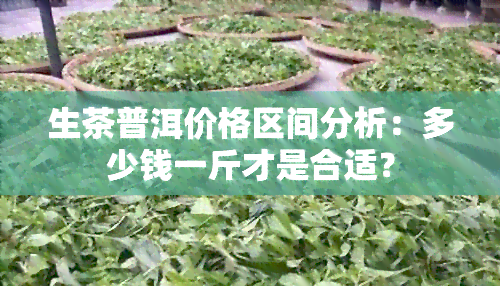 生茶普洱价格区间分析：多少钱一斤才是合适？