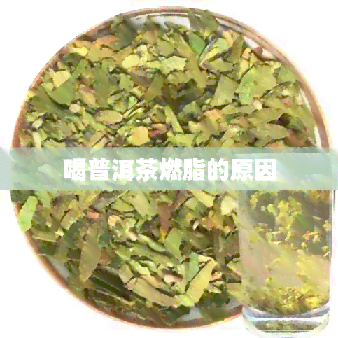 喝普洱茶燃脂的原因