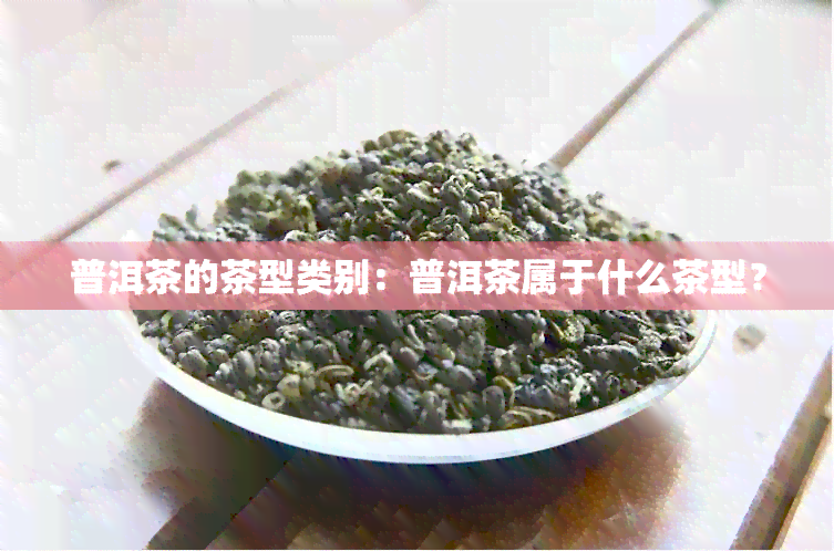 普洱茶的茶型类别：普洱茶属于什么茶型？