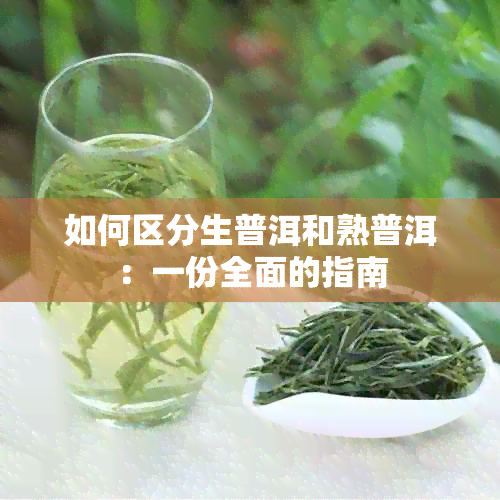 如何区分生普洱和熟普洱：一份全面的指南