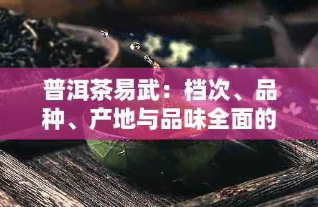 普洱茶易武：档次、品种、产地与品味全面的解析，助你挑选最适合的茶叶