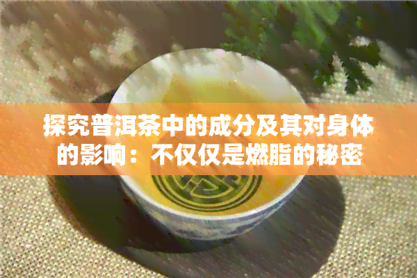 探究普洱茶中的成分及其对身体的影响：不仅仅是燃脂的秘密