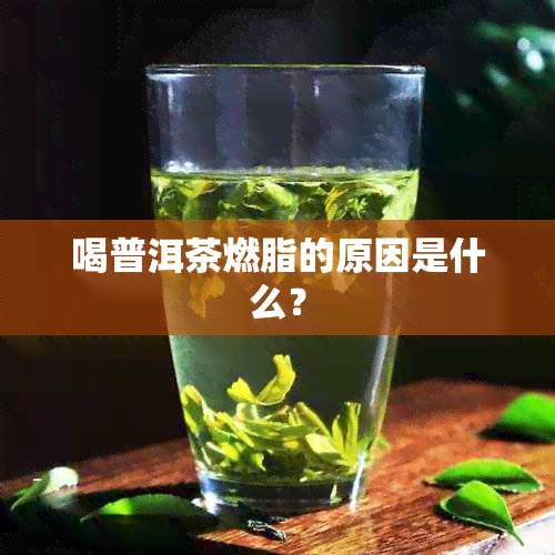 喝普洱茶燃脂的原因是什么？