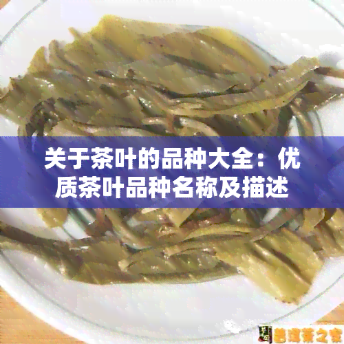 关于茶叶的品种大全：优质茶叶品种名称及描述