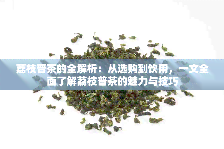 荔枝普茶的全解析：从选购到饮用，一文全面了解荔枝普茶的魅力与技巧