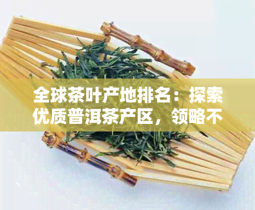 全球茶叶产地排名：探索优质普洱茶产区，领略不同风味的茶叶文化