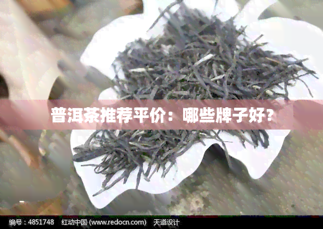 普洱茶推荐平价：哪些牌子好？