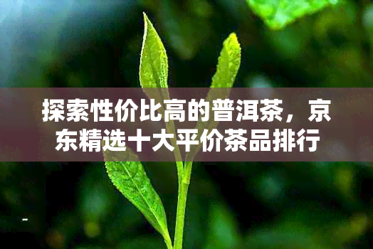 探索性价比高的普洱茶，京东精选十大平价茶品排行