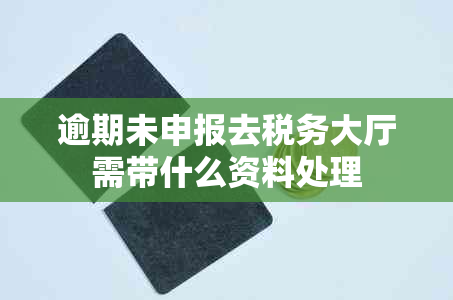 逾期未申报去税务大厅需带什么资料处理