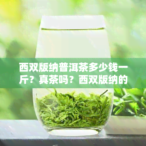 西双版纳普洱茶多少钱一斤？真茶吗？西双版纳的普洱茶饼价格是多少？