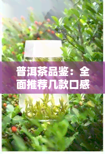 普洱茶品鉴：全面推荐几款口感上乘的茶叶，让你轻松选对好茶