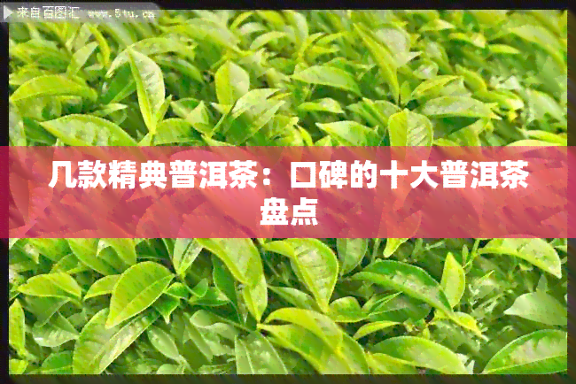 几款精典普洱茶：口碑的十大普洱茶盘点