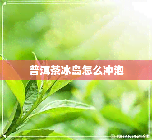 普洱茶冰岛怎么冲泡