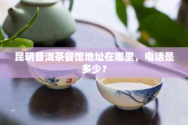 昆明普洱茶餐馆地址在哪里，电话是多少？