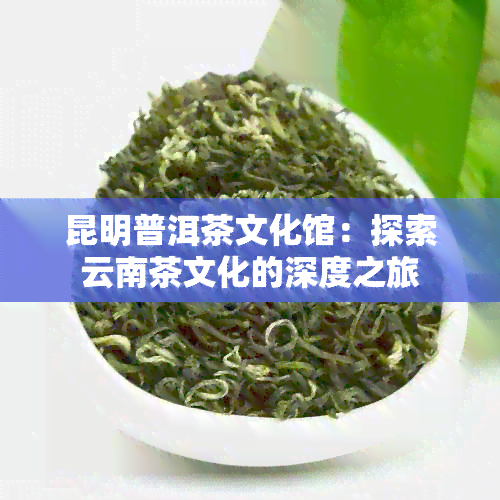 昆明普洱茶文化馆：探索云南茶文化的深度之旅