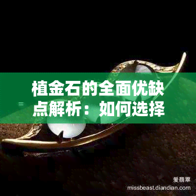 植金石的全面优缺点解析：如何选择最适合您的种植方式？