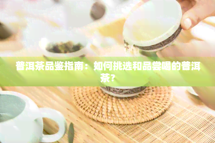 普洱茶品鉴指南：如何挑选和品尝喝的普洱茶？