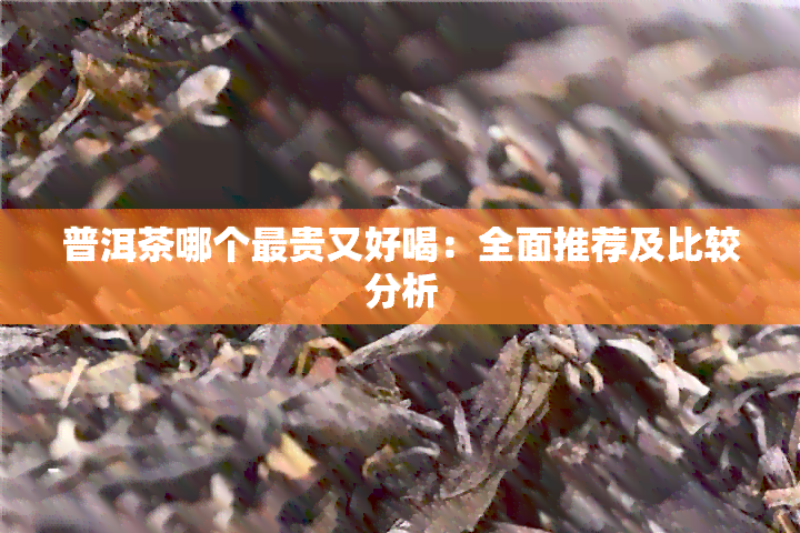 普洱茶哪个最贵又好喝：全面推荐及比较分析